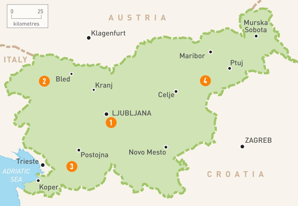 Mapa Słowenii regionów