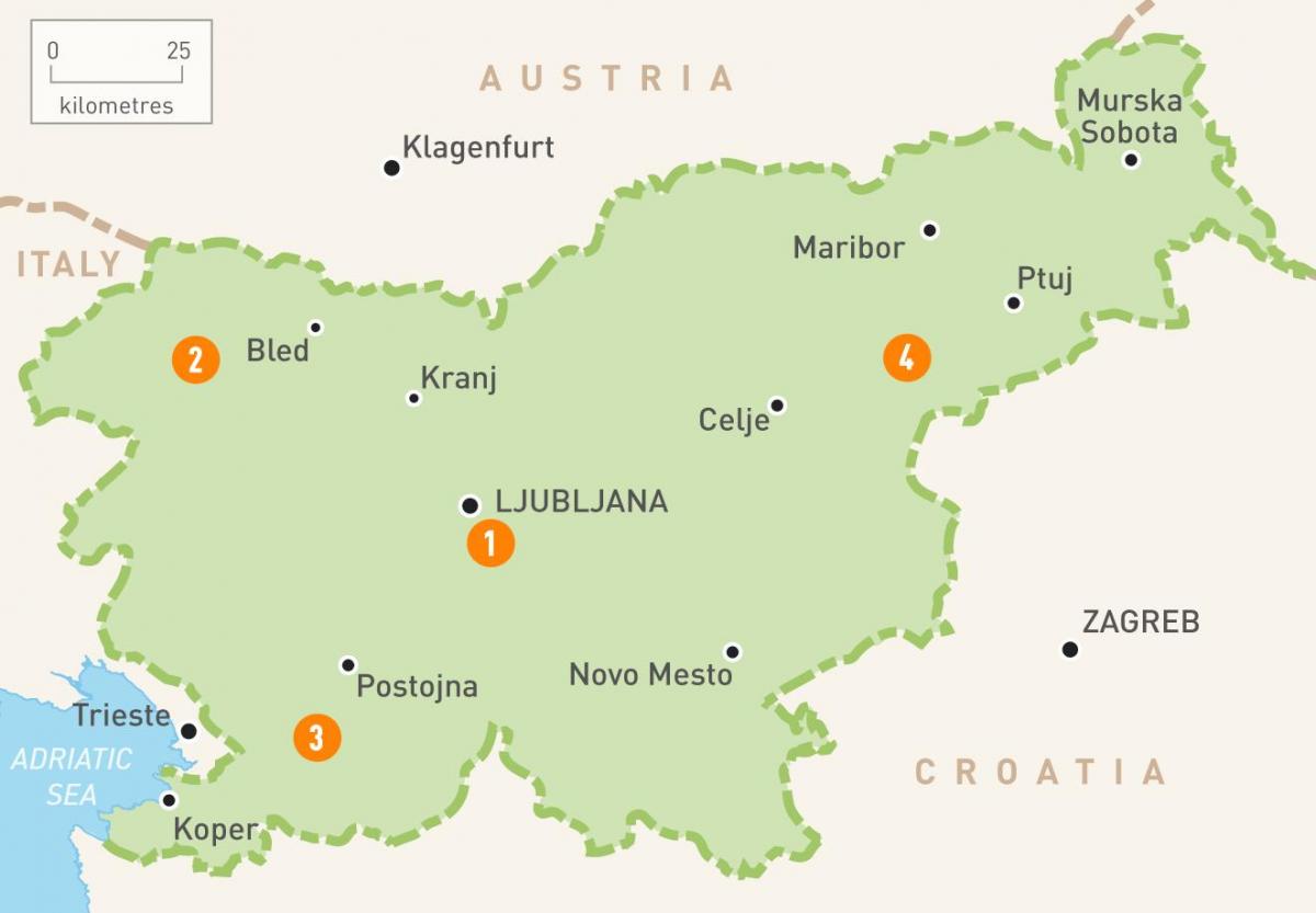 Mapa Słowenii regionów